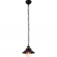 Подвесной светильник «Arte Lamp» Grazioso, A4577SP-1CK