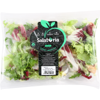 

Салатн.смесь"ФИЕСТА"80г