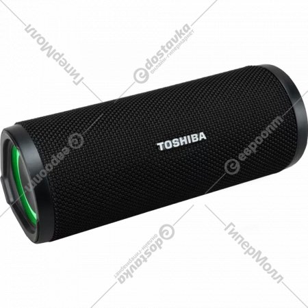 Портативная колонка «Toshiba» TY-WSP102