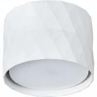Точечный светильник «Arte Lamp» Fang, A5552PL-1WH