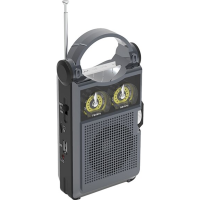 

Радиоприемник"RITMIX"(RPR-333 Carbon)