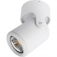 Точечный светильник «Arte Lamp» Libra, A3316PL-1WH