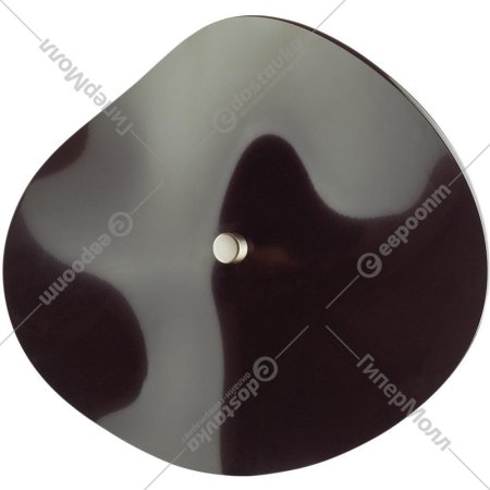 Настенный светильник «Odeon Light» Fluent, L-Vision ODL_EX21 97, 4859/5WL, никель/черный