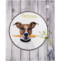 

Тетрадь общ.(скоба,кл,96л)Соб. с морковк