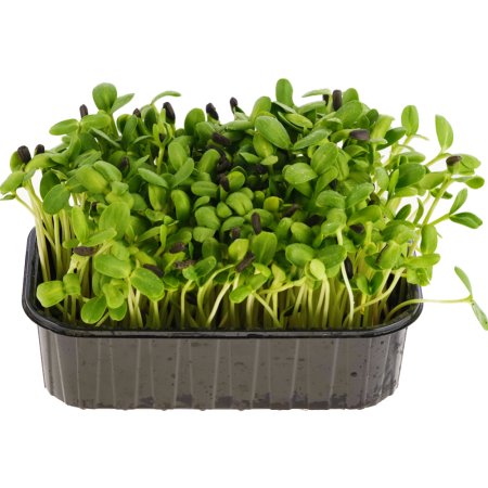 Микрозелень Подсолнечник, 80 г