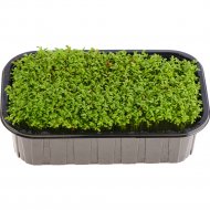 Микрозелень «Зеленый Фермер» Кресс-салат, 30 г