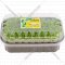 Микрозелень «Зеленый Фермер» Кресс-салат, 30 г