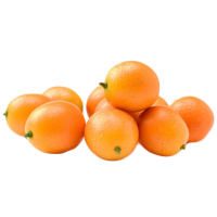 

Кумкват, 10 шт