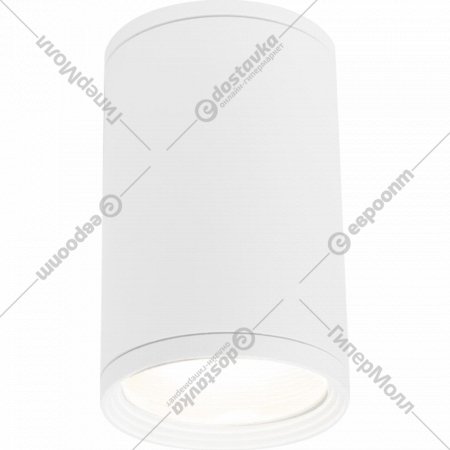 Уличный светильник «Elektrostandard» Light 2101, 35128/H, белый, a056333