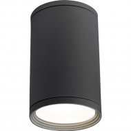 Уличный светильник «Elektrostandard» Light 2101, 35128/H, серый, a056227