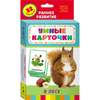 

Книга "В ЛЕСУ" (разв.карточки)