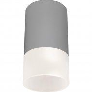 Уличный светильник «Elektrostandard» Light LED 2106, 35139/H, серый, a057158