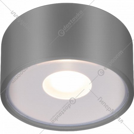 Уличный светильник «Elektrostandard» Light LED 2135, 35141/H, серый, a057472