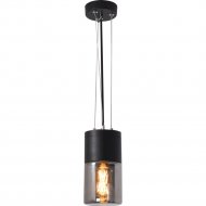 Уличный светильник «Elektrostandard» Roil, 35125/H, черный/дымчатый, a055634