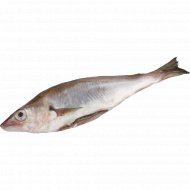 Мерланг охлажденный «John Dory» непотрошеный, 1 кг, фасовка 0.2 - 0.4 кг