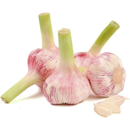 Чеснок молодой, 1 кг, фасовка 0.15 кг