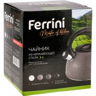 Чайник «Ferrini» из нержавеющей стали, арт.HY3762, 3 л, черный