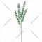 Искусственное растение «Faktor» Эвкалипт, F125-01, 88 см, 5 шт