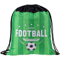 

Мешок д/об"ARTSPACE"(Football,350x430мм)