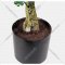 Искусственное растение «Faktor» Самшит стриженный, D110, 1.24 м