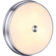 Настенно-потолочный светильник «Odeon Light» Marsei, Walli ODL21 515, 4825/4C, никель/белый
