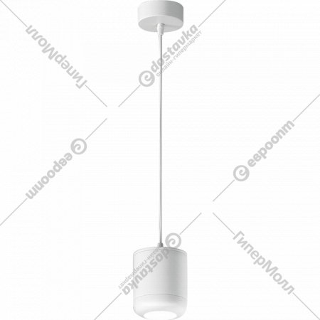 Светильник подвесной «Elektrostandard» Onde, 50249 LED, белый