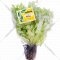 Салат листовой «Фризе» в горшке, 120 г