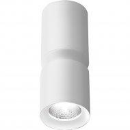 Светильник потолочный «Elektrostandard» Kayo, 25048/LED, белый