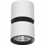Светильник потолочный «Elektrostandard» Kayo, 25049/LED, белый, черный