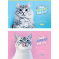 Альбом для рисования «Спейс» Питомцы. Funny cats, А32_44470, А4, 32 листа