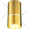 Точечный светильник «Elektrostandard» DLN106 GU10, золото, a047732