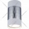 Точечный светильник «Elektrostandard» DLN110 GU10, белый/серебро, a047744