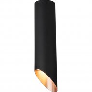 Точечный светильник «Elektrostandard» DLN115 GU10, черный/золото, a050122