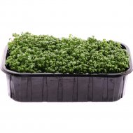 Микрозелень «Кресс-салат» 125 г