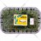 Микрозелень «Кресс-салат» 125 г