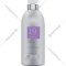 Шампунь для волос «Biotop» 19 Pro Silver Shampoo, 1 л