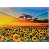 

Папка "NATURE"(пл.10ф.,арт.32124)подсол