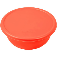 

Миска с крышкой 1.2л (коралловый)