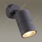 Настенно-потолочный светильник «Odeon Light» Corsus, Hightech ODL20 249, 4207/1C, черный
