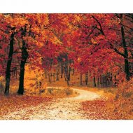 Картина по номерам «Palizh» Осенняя тропа, 40х50 см
