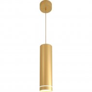 Подвесной светильник «Elektrostandard» DLR023 12W 4200K, золото матовый, a047679