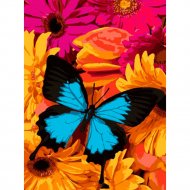 Картина по номерам «Lori» Яркая бабочка, Ркн/ф-038, 28х38 см
