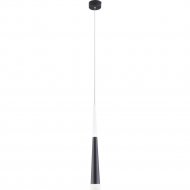Подвесной светильник «Elektrostandard» DLR038 7+1W 4200K, черный матовый, a044560
