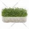 Микрозелень «ГриоБел» кресс-салат, 20 г