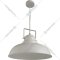 Подвесной светильник «Arte Lamp» Martin, A5213SP-1WG