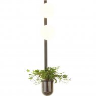 Настенный светильник «Odeon Light» Flower, Walli ODL20 529, 4681/2WA, черный/белый