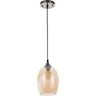 Подвесной светильник «Arte Lamp» Propus, A4344SP-1AB