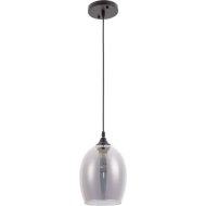 Подвесной светильник «Arte Lamp» Propus, A4344SP-1BK