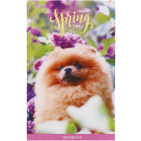 

Блокн.склей(Б7к48кл_21616,А7,48л)Сир.пол