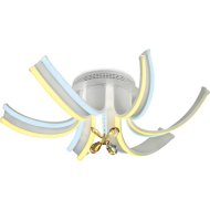 Потолочный светильник «Ambrella light» FL146/6 WH, белый